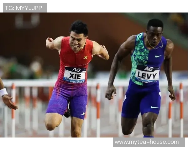 南京乒乓球队在钻石联赛中以86分稳居积分榜首位 南京乒乓球队在钻石联赛中以86分稳居积分榜首位