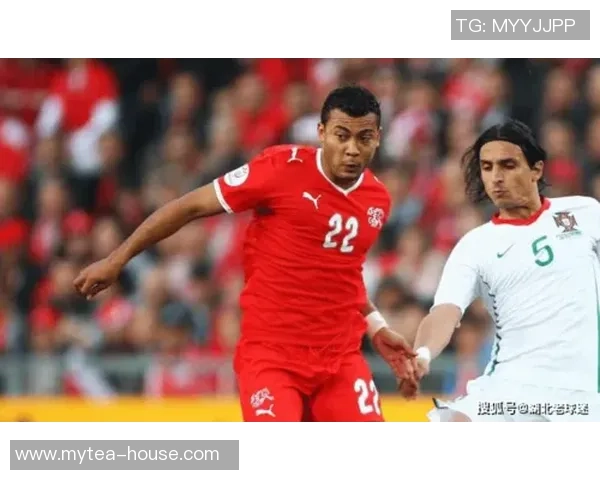 成都网球队的崛起之路：从默默无闻到联赛强队的奋斗历程