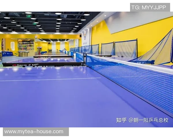 杭州乒乓球队如何通过节奏革新提升竞技水平与团队协作能力