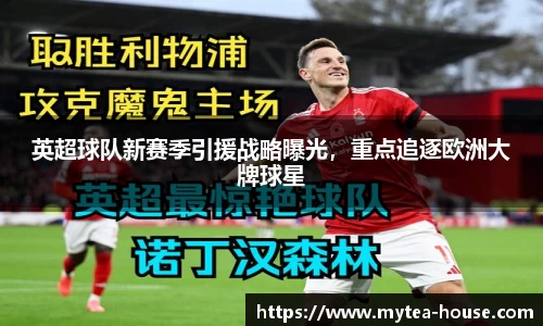 英超球队新赛季引援战略曝光，重点追逐欧洲大牌球星