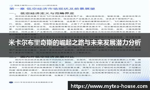 米卡尔布里奇斯的崛起之路与未来发展潜力分析