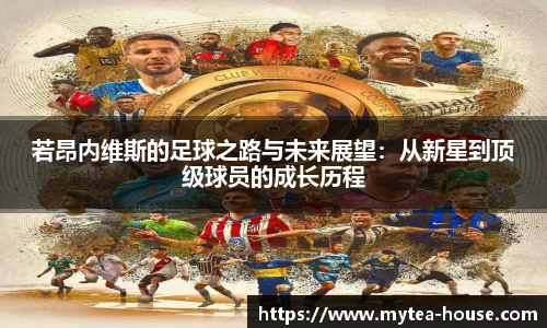 yy易游体育